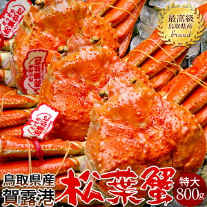 lŏtKjmn800g×3 ^Otm2025 ɉցn{CtI 䥂ŊI V 挧Y uh}coKj {CYCKjmH̖o ӂ邳ƃMtgn