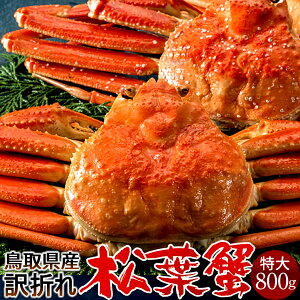 lŏtKj 󂠂mBn800g×2m2025 ɉցn܂ {CtI 䥂ŊI V 挧Y uh}coKj {CYCKjmH̖o ӂ邳ƃMtgn