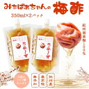 『梅酢 パウチ350ml×2』うめ〜ず【ネコポス送料無料】無添加 梅酢 うめ酢 うめず すっぱい 美味しい おいしい