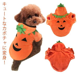  yzybg gCv[h hbOEFA H~ p[J[ L ybgObY ~ t[ht   nEB  NX}X ` _bNX pi J{` y