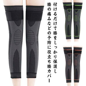 St ₦ ЂT|[^[  C Ђ GJo[ O  G ۉ VN o[{[ p G ی oR ̗₦ oXP ЂJo[ jO WjA 