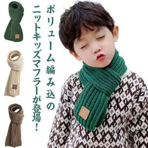 Vv  h  h q}t[ _炩  yzLbY lbNEH[}[ jbg}t[ ۉ n xr[ j̎q ؍q yzLbY  