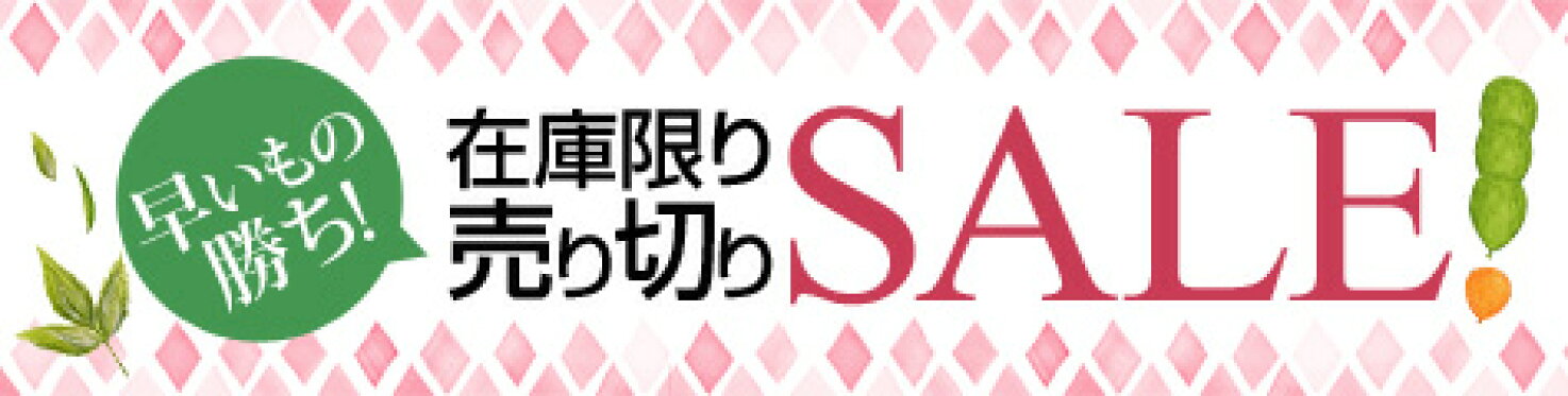 在庫処分！早い者勝ち！