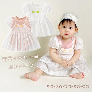 Zj[hX xr[ p[X ̎q hX s[X  `[s[X q xr[ ̎q btp[X Zbg xr[ Xq {lbg Ԃ V xr[