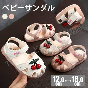  xr[T_ xr[V[Y ̎q xr[T_  C qC T_ LbYT_ T_ LbY xr[ t@[XgV[Y Ԃ qǂ q ǂ 