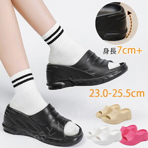  T_  ₷  Ȃ EGbW\[ ؍t@bV ~[ r[`T_  T_ EȂ EFbW\[ V[Y TCY gAbv 