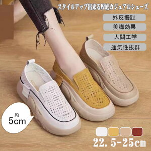  EhgD胍[t@[ JWAV[Y Od lԍHw JWA V[Y fB[X 5cm yʐ݌v ~ ʋCK L JWAV[Y T