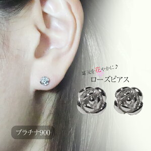 v`i@KNsAX@[Y@rose@i@@o^C@t@bV@ANZT[@WG[@fB[X@IV@v[gEEiۏ؏@Pt900@PT@