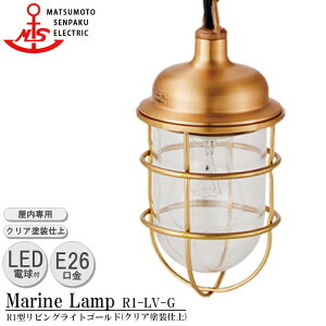 {D R1^rOCgS[h R1-LV-G LED Ɩ ^J }v iMALINE LAMPj rO Cg VƖ _CjO Ɩ X܏Ɩ DƖ JtF p