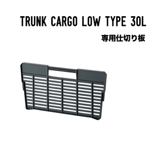 TRUNK CARGO LOW TYPE 30L pd؂ gNJ[S [^Cv
