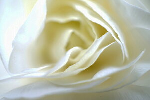 iʐ^ tHgJ[h  _   s@  i̎ʐ^ tHgOt@[ ʐ^uiLX@Ă܂vyH[zySIESTAz