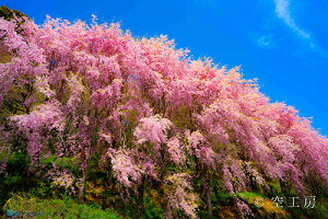 iʐ^ tHgJ[h  _   s@  i̎ʐ^ tHgOt@[ ʐ^uL̍vyH[zySIESTAz