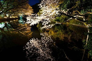 iʐ^ tHgJ[h  _   s@  i̎ʐ^ tHgOt@[ ʐ^Iь CgAbv Vg[u ʂɉfvyH[zySIESTAz