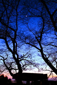 tHgJ[hut҂v̋  _ iʐ^yH[z