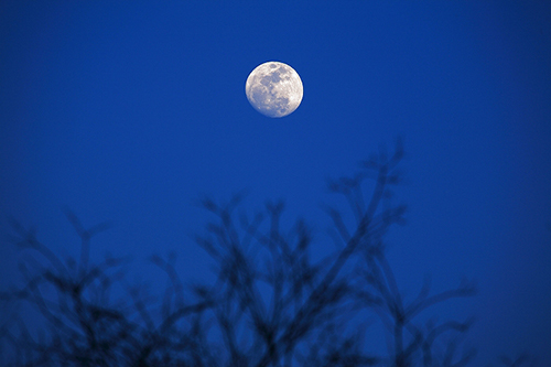 フォトカード 空 雲 星 月 飛行機 花 海 風景<br>空の写真家 フォトグラファー 写真<br>「蒼月」<br>