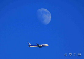 フォトカード 空 雲 星 月 飛行機 花 海 風景空の写真家 フォトグラファー 写真「Blue&nbsp;MOON」【空工房】