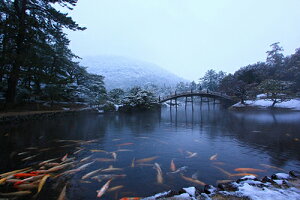 iʐ^ tHgJ[h  _   s@  i̎ʐ^ tHgOt@[ ʐ^uIьvyH[zySIESTAz