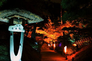 iʐ^ tHgJ[h@ _   s@  i̎ʐ^ tHgOt@[ ʐ^uIьvyH[zySIESTAz