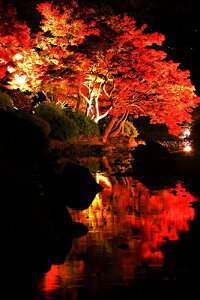 iʐ^ tHgJ[h  _   s@  i̎ʐ^ tHgOt@[ ʐ^uIьvyH[zySIESTAz