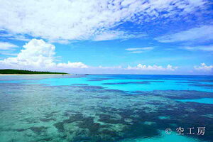 tHgJ[h  _   s@  C i̎ʐ^ tHgOt@[ ʐ^[gƊԓ]yH[zySIESTAz