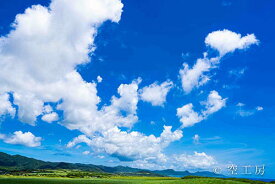 フォトカード 空 雲 星 月 飛行機 花 海 風景 空の写真家 フォトグラファー 写真空の写真家 フォトグラファー 写真「夏空を駆ける雲」【空工房】【SIESTA】