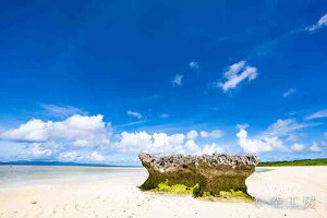 tHgJ[h  _   s@  C i̎ʐ^ tHgOt@[ ʐ^[gƊԓ jVl]yH[zySIESTAz