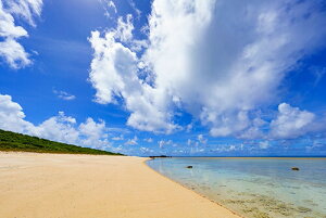 iʐ^ tHgJ[h  _   s@  i̎ʐ^ tHgOt@[ ʐ^uV삯yKTXvgƊԓEjVn}yH[zySIESTAz