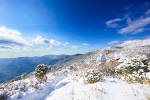 tHgJ[h u~̊Xviʐ^i  _ C   s@  jyH[z