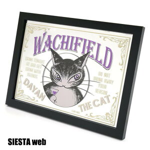 �y�킿�ӂ��[��� �_�����z�ؘg�t���A�N�����p�u�~���[�iBAR�j�_���� �L�ySIESTA�z