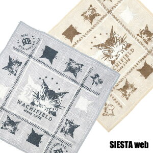 y킿ӂ[ _zӂiHOTELE/HOTELEx[Wj_ LySIESTAz