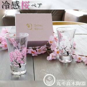 yAOX Mtgy⊴  OXVJ yAZbgz 2Zbg Fς KX Rbv [J[d Ki t  Ԍ JAPAN { yAZbg 蕨 t  LO jyۃ