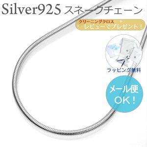 Vo[`F[ Xl[N Vo[925 2.4~40cm Vo[lbNX Vo[925 t@bV WG[ ANZT[ Y fB[X yA ObY v[g lC  X^