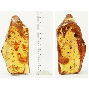 VR̃JrAOAo[@100gFXȎނ̒t TCY@߁@Rp[ 511 ct wHaAHxyz