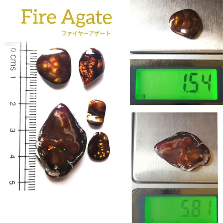 楽天市場】お試し企画 数量限定‼ サービスプライス‼ 2023  