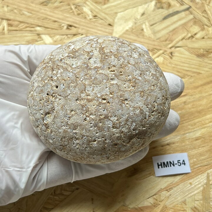 楽天市場】一点物、高品質、店長厳選『美しい虎柄の姫川薬石』握り石に 