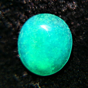 ΐFWFVJ ~j[X0.95ctyz