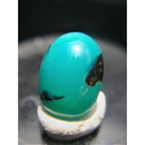 WFVJ N\RJZhj[ [X 3.1ctyz