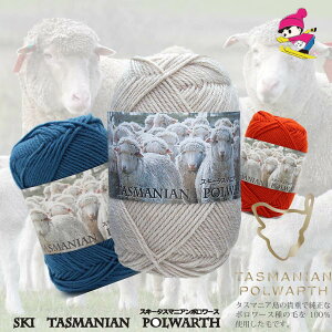 スキー毛糸 毛糸 ポロワース 編みやすい 合太 ウール 多色 ニット 手編み 秋冬 スキータスマニアンポロワース 【p20】2/2ページ 色番7015-7028