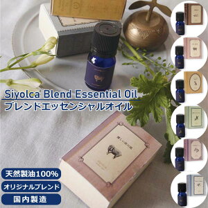 A}IC GbZVIC VJ  A} IC VR [tOX A}fBt[U[ {  A kn F tbV N[[V uh 