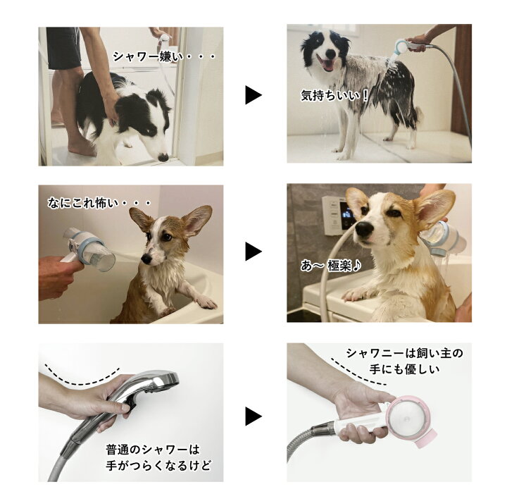 楽天市場】自宅でワンちゃんのシャワーが簡単にできるシャワーヘッド 