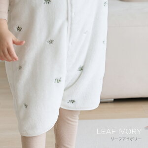 yԌ250~OFFN[|zy2ȏw600~OFFN[|zX[p[ ~p 2WAY ~p Ȃ  tl K[[ ѕz h pW} H ~ Ԃ V LbY xr[ q