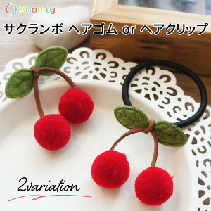 yAt^[SALEʃN[|zzz \tg  wAS wANbv ̎q  |Cg Iׂ TN{  wAs Shomty