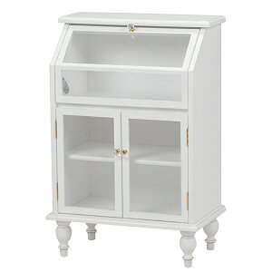 AeB[N rt [KXLrlbg ^CviAeB[NzCgj RCC-1788AW