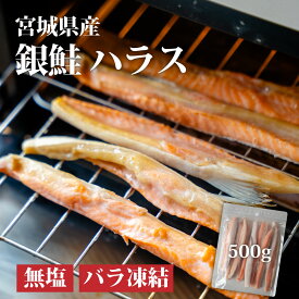 国産 銀鮭 ハラス 宮城県産 無塩 500g 【 送料無料 】 チャック付 冷凍 バラ凍結 魚切り身 サーモン 銀鮭 切身 銀鮭 カマ さけ サケ シャケ しゃけ 個包装 小分け ご飯のお供 敬老の日