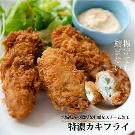 楽天市場 牡蠣フライ 冷凍の通販