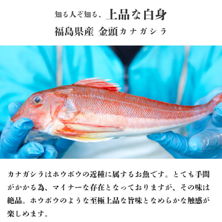 楽天市場 クーポン利用で Off 一口カットの 白身魚フライ 500g 250g 2p 金頭の一口フライ 福島県産 カナガシラ 使用 冷凍 国産 白身フライ お弁当 食品 おかず 揚げ物 魚 フライ 冷凍のまま揚げるだけ 保存食 パーティ 送料無料 ふくしまプライド 魚のおん