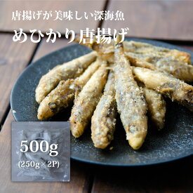 めひかり 唐揚げ 500g(250g×2P小分け)　福島県産 国産 アオメエソ おつまみ　アカメ　目光　居酒屋料理