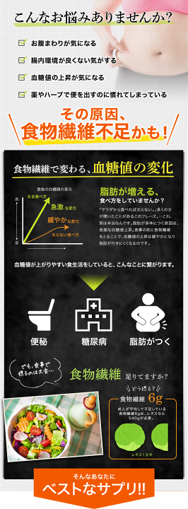 楽天市場】【サムライフ】プレバイオファイバー（30包/1ヶ月分） 腸内