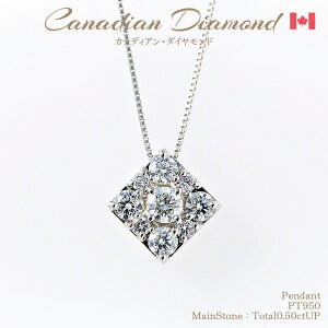 yI11/25-20%OFFN[|zɏ߂JifBA_Chy_g v0.50ctUP [PT950] [^:657370] N[| Z[  [NC_]