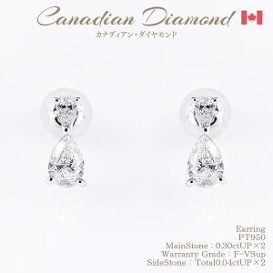 �ɏ�����߂��J�i�f�B�A���_�C�������h�s�A�X 0.30ctUP & 0.04ctUP ×2 [PT950] [�i��:GH670715p/�^��:GH0551] �N�[�|������ �Z�[�� ������
